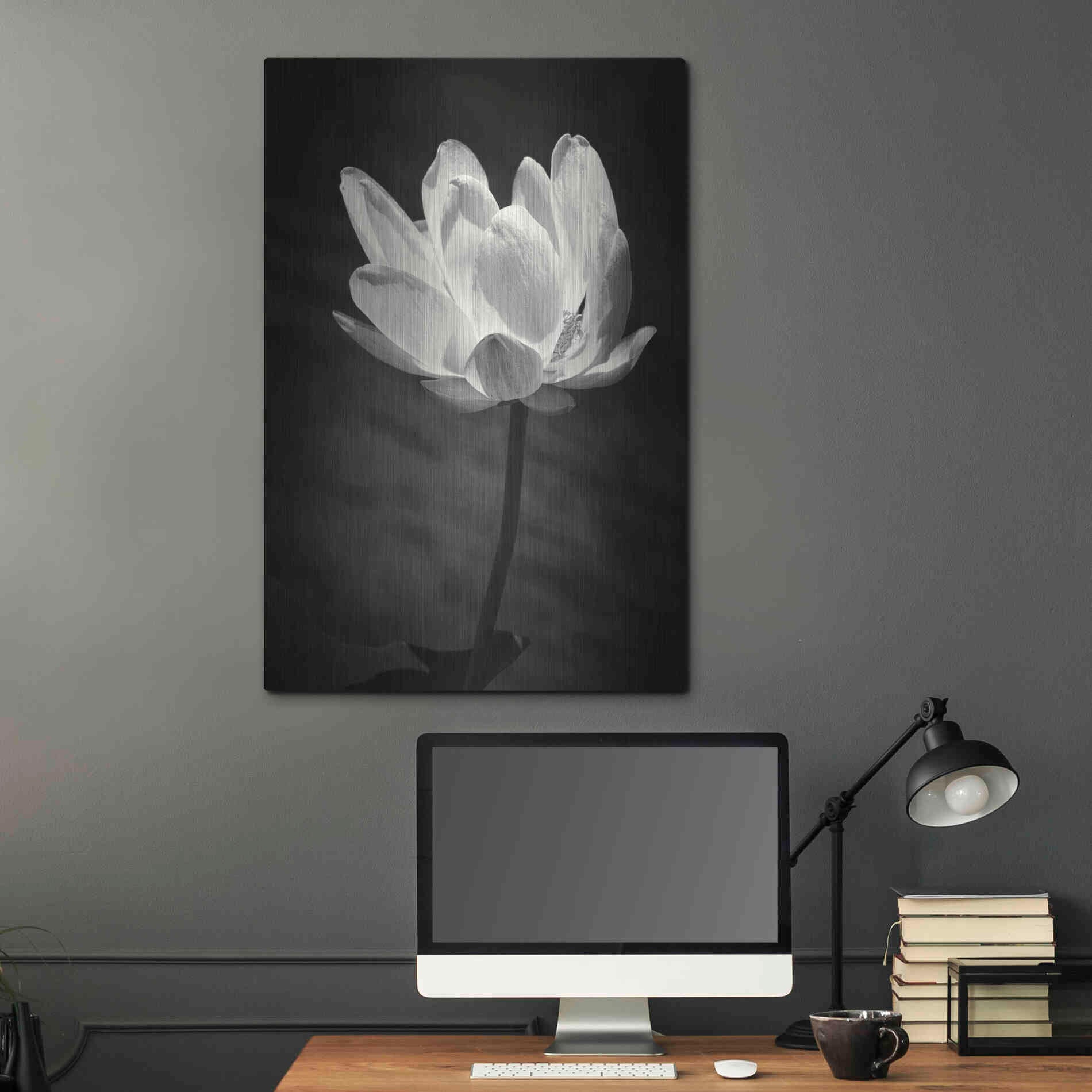 Luxe Metal Art 'Lotus Flower X' by Debra Van Swearingen, Metal Wall Art,24x36