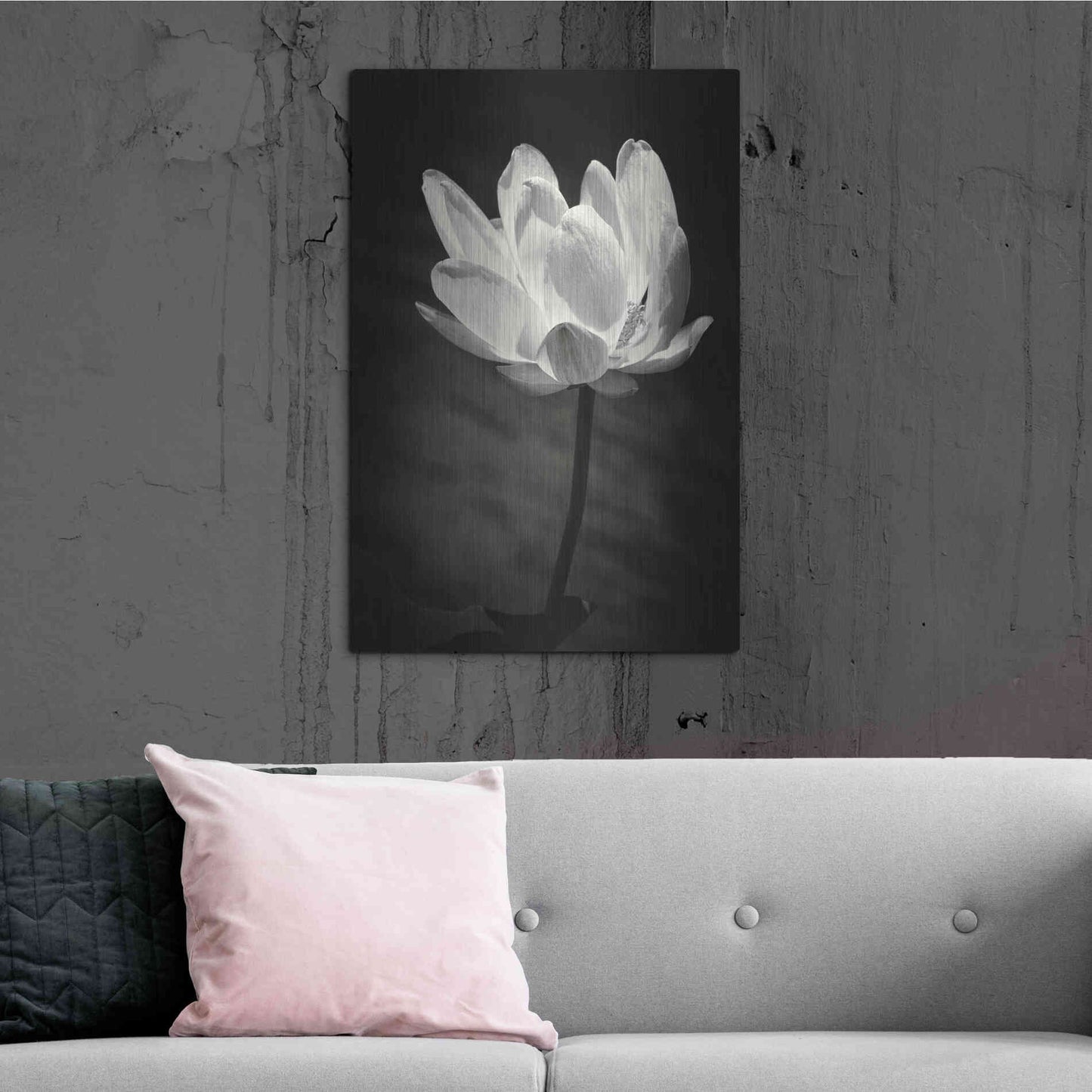 Luxe Metal Art 'Lotus Flower X' by Debra Van Swearingen, Metal Wall Art,24x36