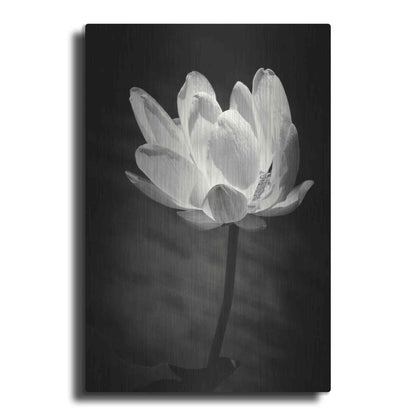 Luxe Metal Art 'Lotus Flower X' by Debra Van Swearingen, Metal Wall Art