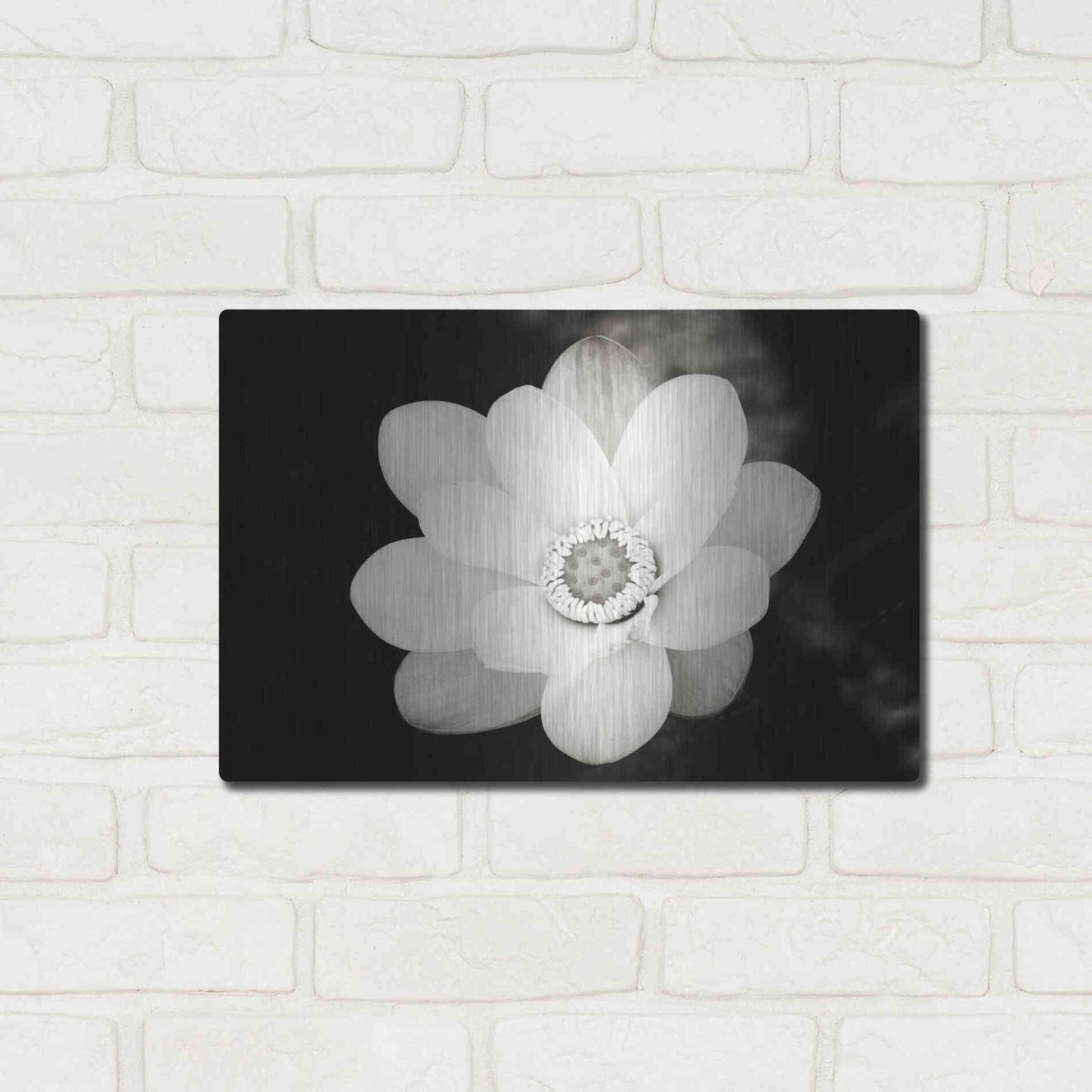 Luxe Metal Art 'Lotus Flower III' by Debra Van Swearingen, Metal Wall Art,16x12