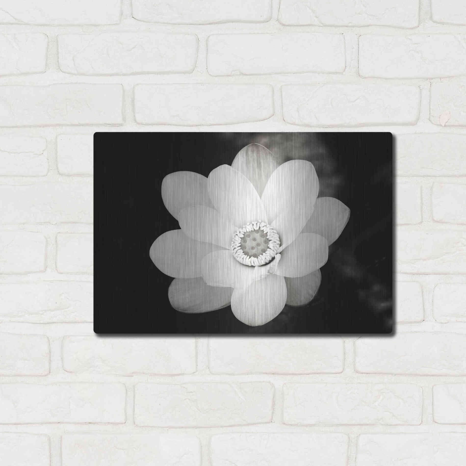 Luxe Metal Art 'Lotus Flower III' by Debra Van Swearingen, Metal Wall Art,16x12