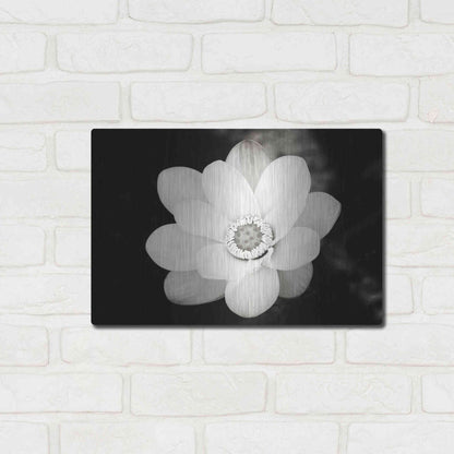 Luxe Metal Art 'Lotus Flower III' by Debra Van Swearingen, Metal Wall Art,16x12