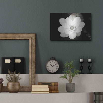 Luxe Metal Art 'Lotus Flower III' by Debra Van Swearingen, Metal Wall Art,16x12