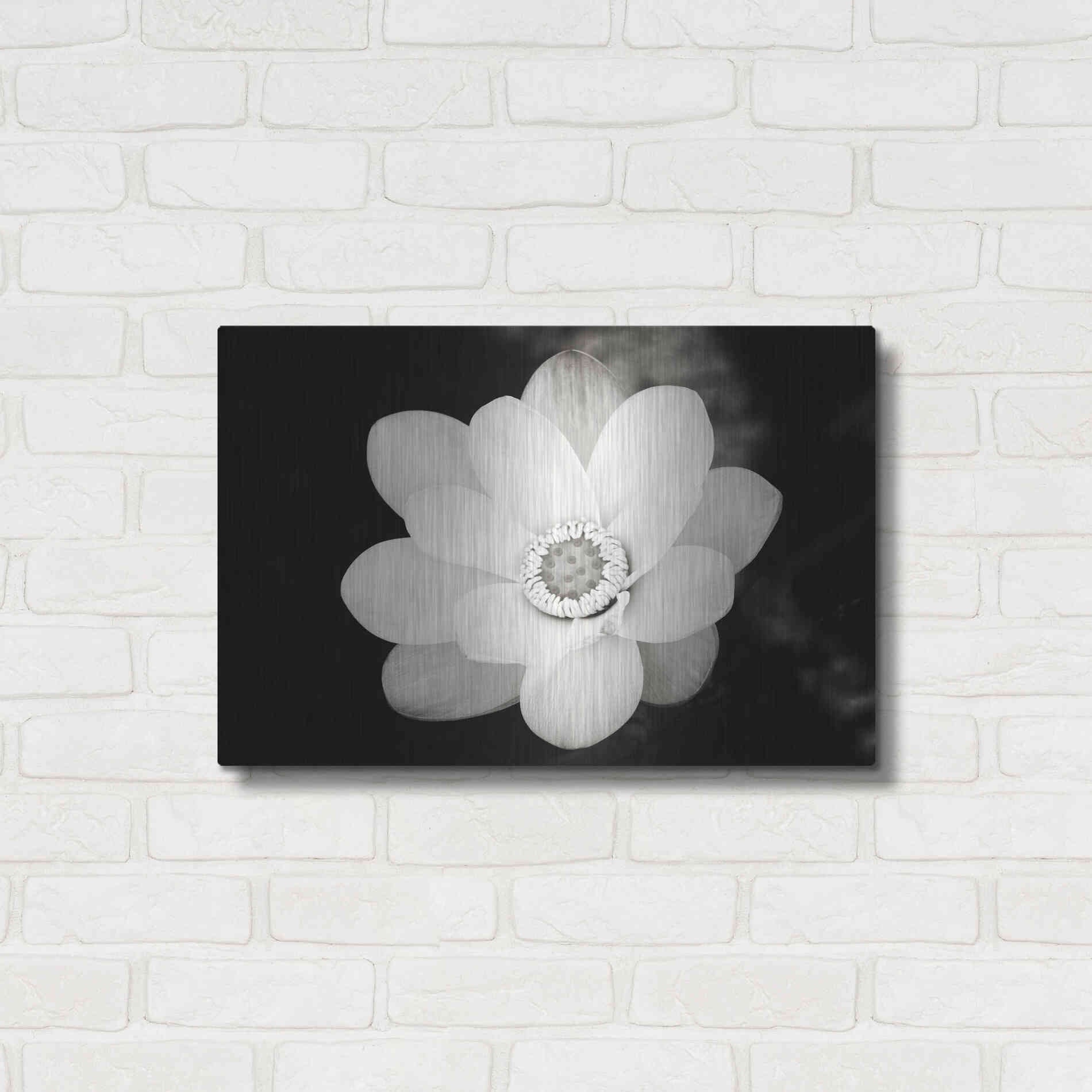 Luxe Metal Art 'Lotus Flower III' by Debra Van Swearingen, Metal Wall Art,24x16