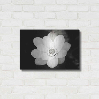 Luxe Metal Art 'Lotus Flower III' by Debra Van Swearingen, Metal Wall Art,24x16