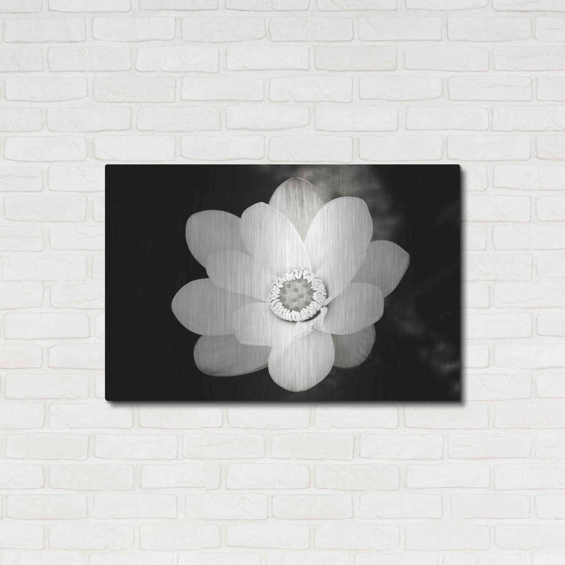 Luxe Metal Art 'Lotus Flower III' by Debra Van Swearingen, Metal Wall Art,36x24