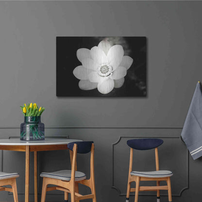 Luxe Metal Art 'Lotus Flower III' by Debra Van Swearingen, Metal Wall Art,36x24