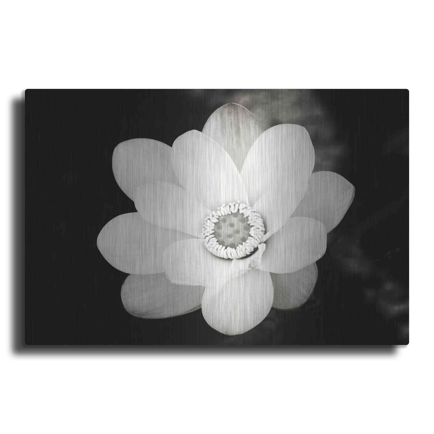 Luxe Metal Art 'Lotus Flower III' by Debra Van Swearingen, Metal Wall Art
