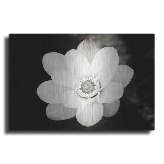 Luxe Metal Art 'Lotus Flower III' by Debra Van Swearingen, Metal Wall Art