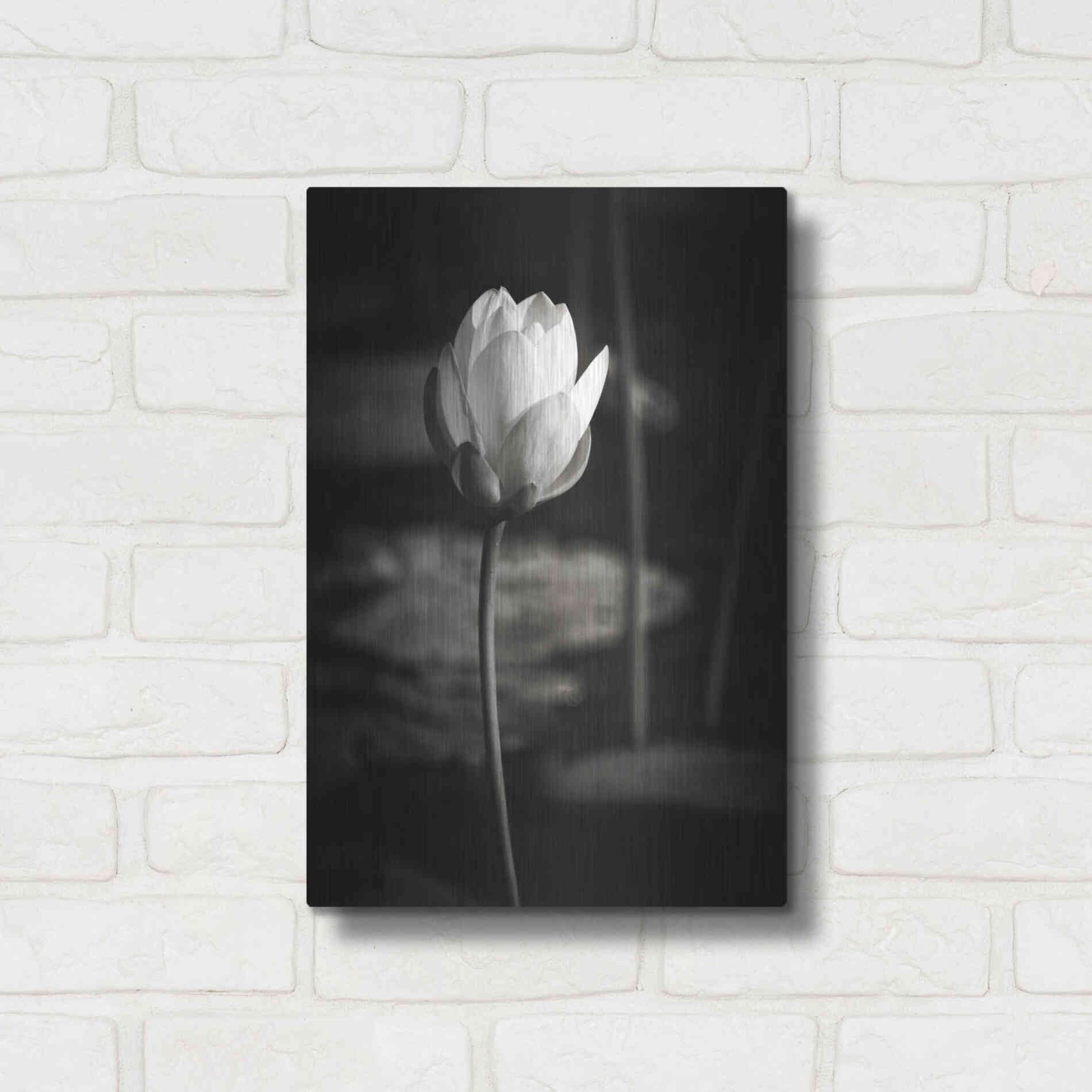 Luxe Metal Art 'Lotus Flower VI' by Debra Van Swearingen, Metal Wall Art,12x16