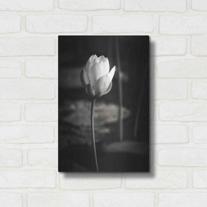 Luxe Metal Art 'Lotus Flower VI' by Debra Van Swearingen, Metal Wall Art,12x16