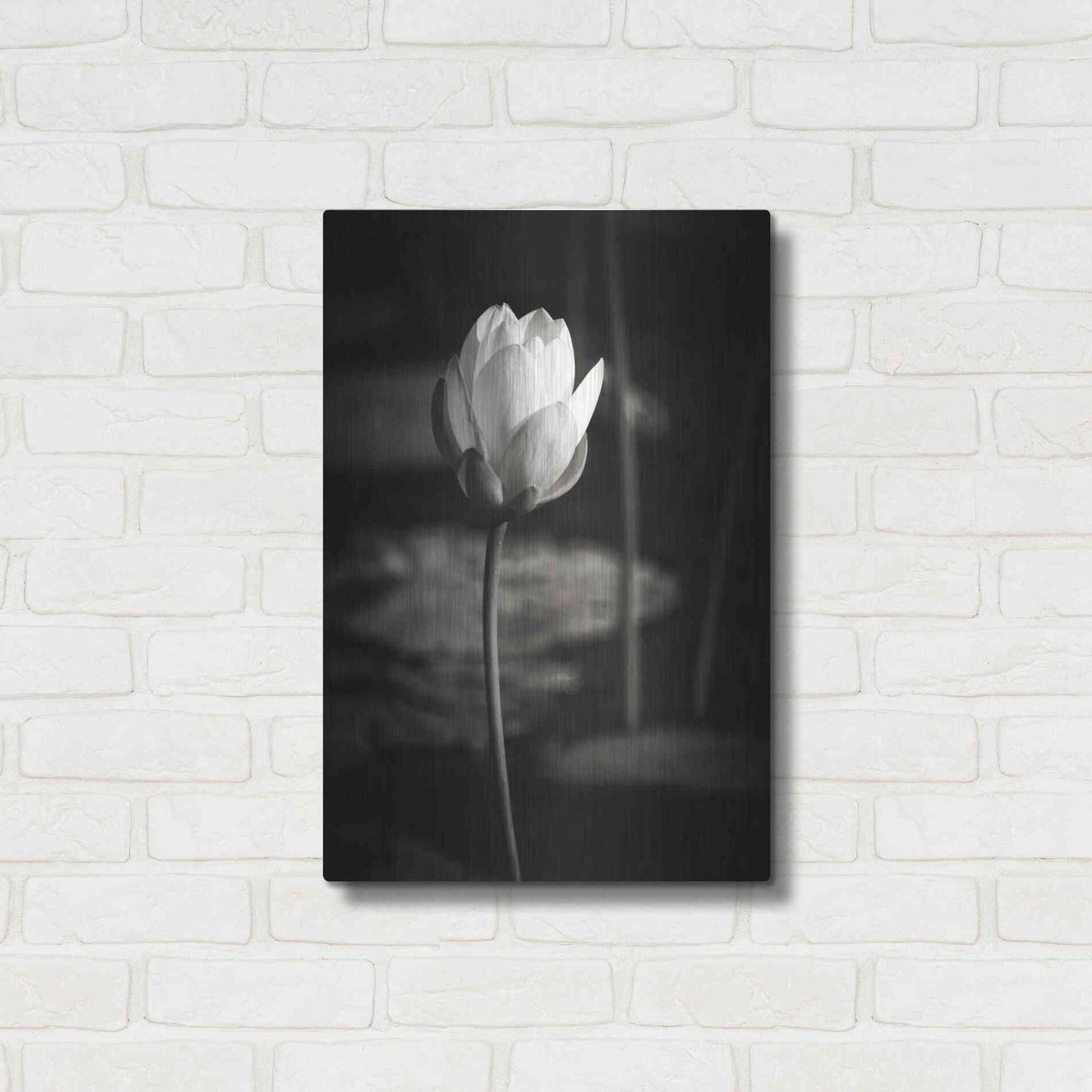 Luxe Metal Art 'Lotus Flower VI' by Debra Van Swearingen, Metal Wall Art,16x24