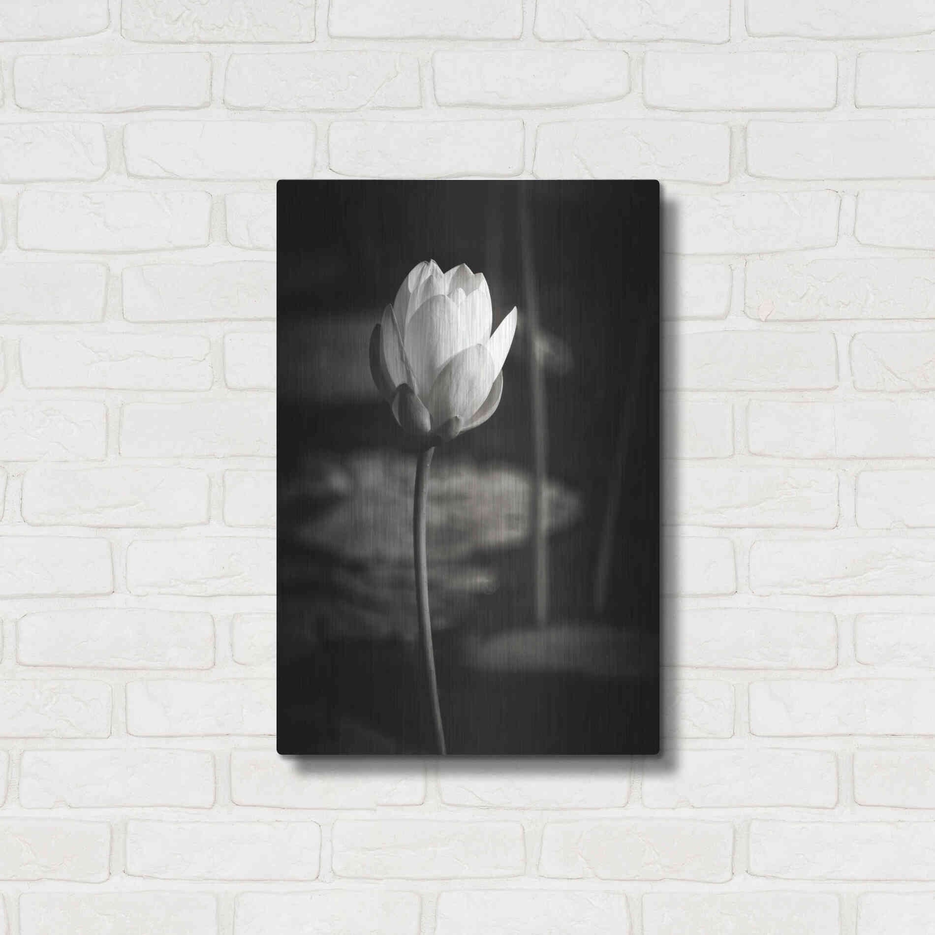 Luxe Metal Art 'Lotus Flower VI' by Debra Van Swearingen, Metal Wall Art,16x24