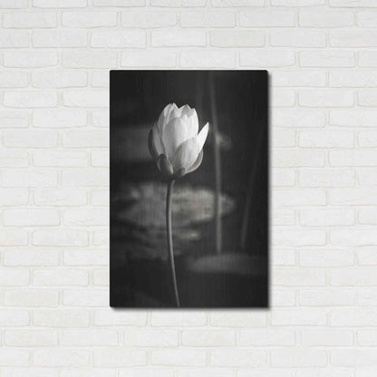 Luxe Metal Art 'Lotus Flower VI' by Debra Van Swearingen, Metal Wall Art,24x36