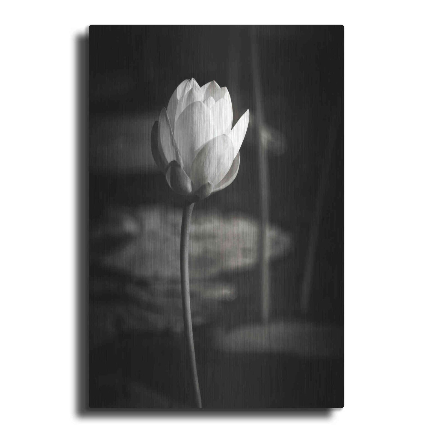 Luxe Metal Art 'Lotus Flower VI' by Debra Van Swearingen, Metal Wall Art