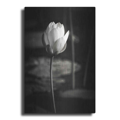 Luxe Metal Art 'Lotus Flower VI' by Debra Van Swearingen, Metal Wall Art