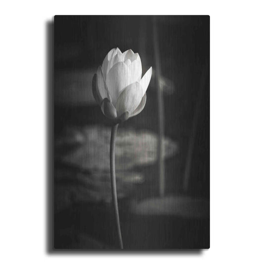 Luxe Metal Art 'Lotus Flower VI' by Debra Van Swearingen, Metal Wall Art