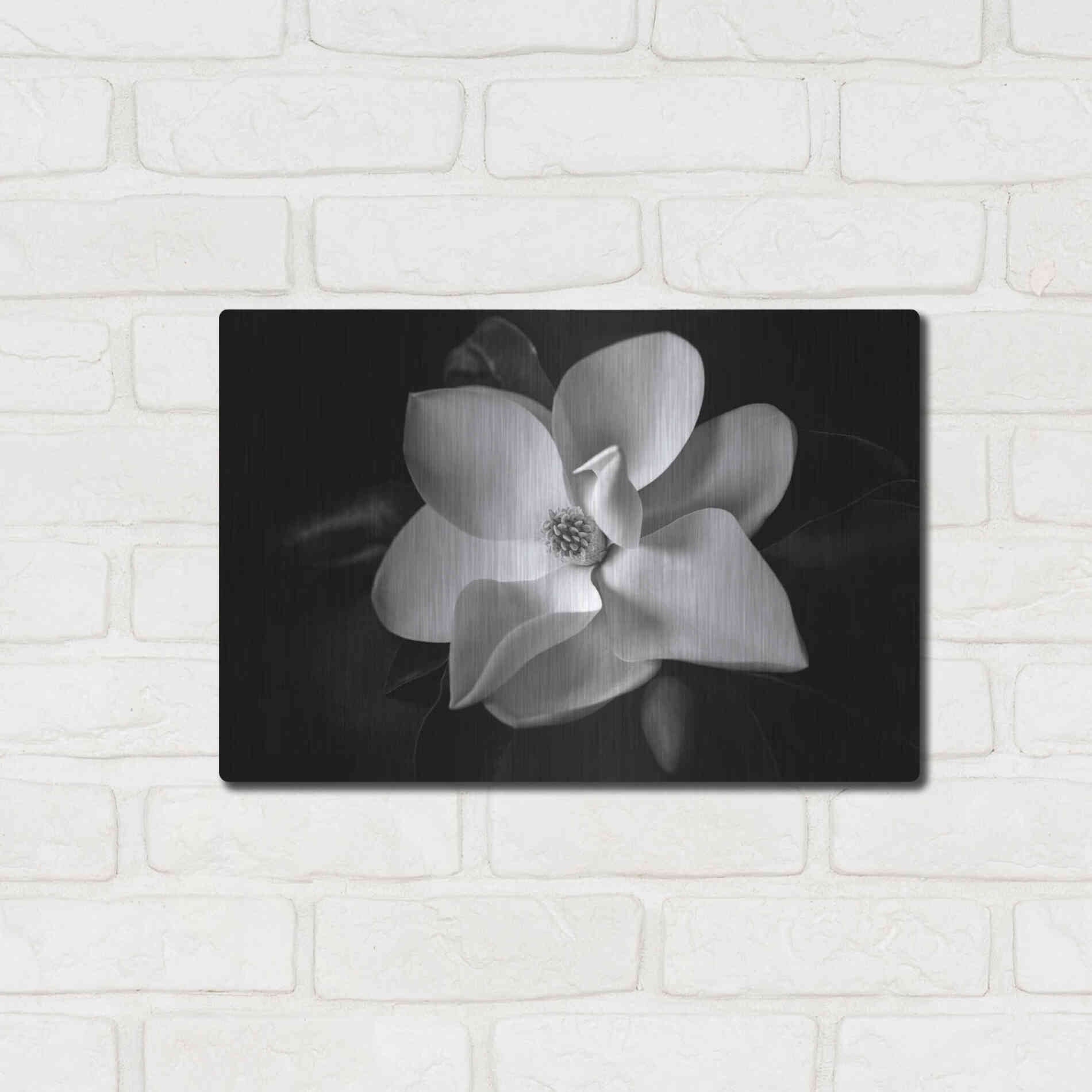 Luxe Metal Art 'SID14511_Magnolia' by Debra Van Swearingen, Metal Wall Art,16x12