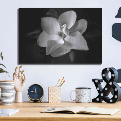 Luxe Metal Art 'SID14511_Magnolia' by Debra Van Swearingen, Metal Wall Art,16x12