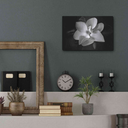 Luxe Metal Art 'SID14511_Magnolia' by Debra Van Swearingen, Metal Wall Art,16x12