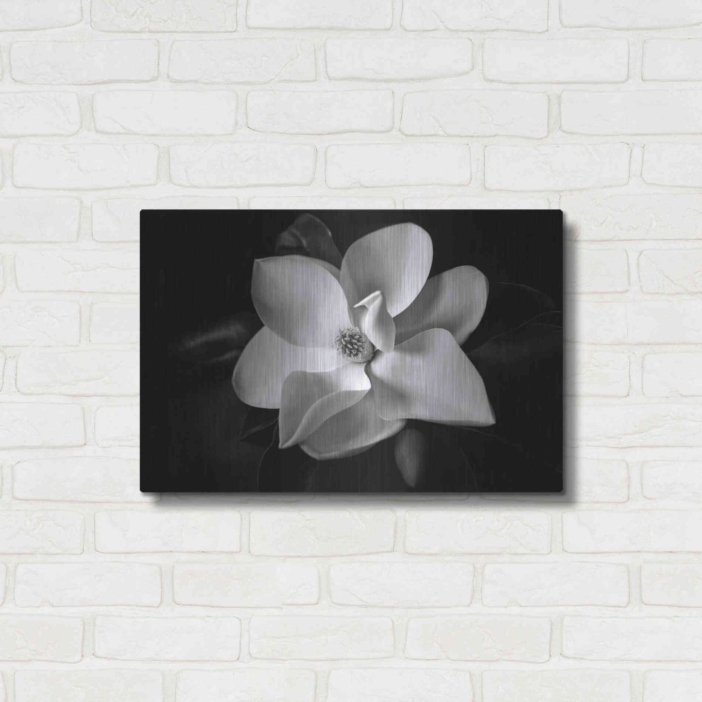 Luxe Metal Art 'SID14511_Magnolia' by Debra Van Swearingen, Metal Wall Art,24x16