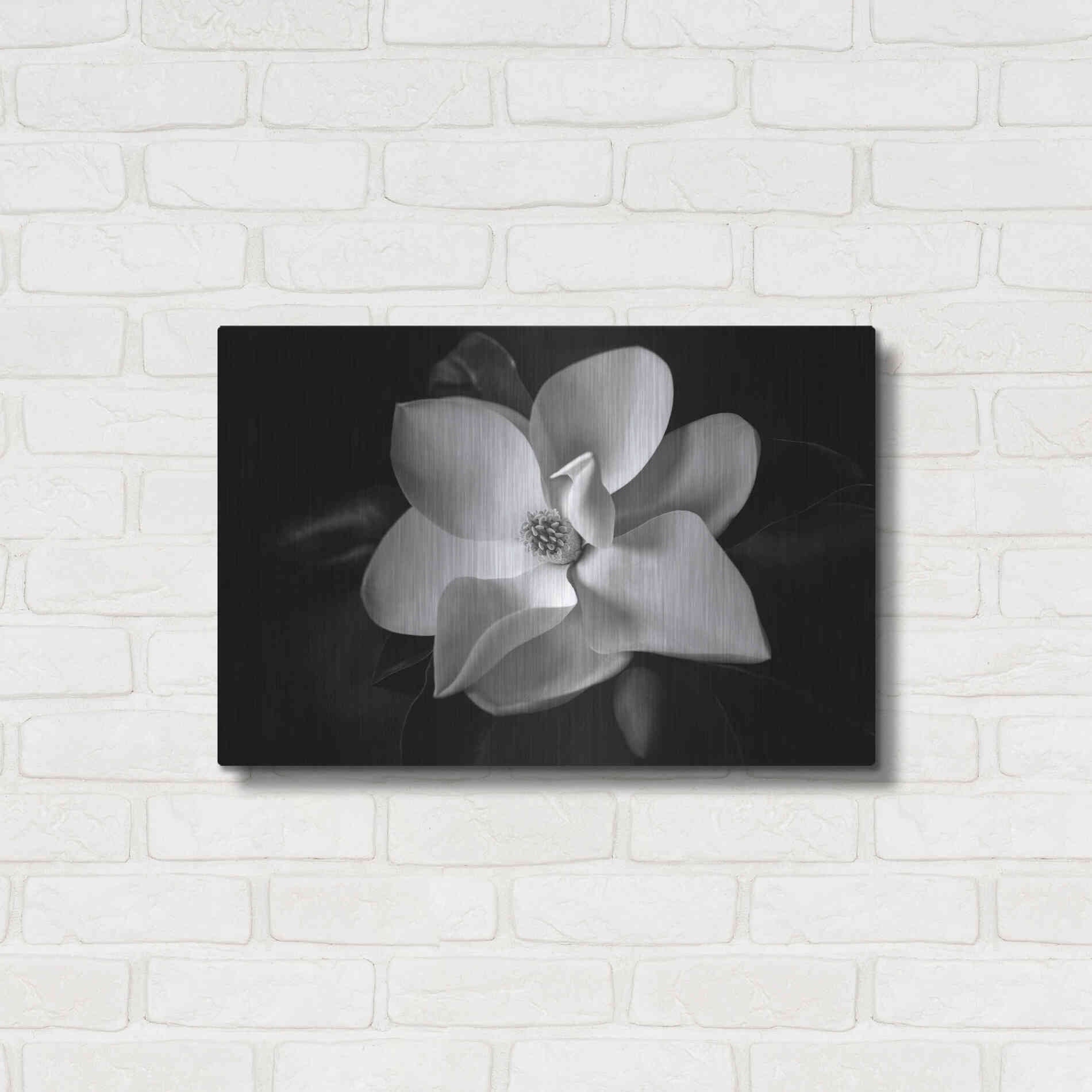 Luxe Metal Art 'SID14511_Magnolia' by Debra Van Swearingen, Metal Wall Art,24x16