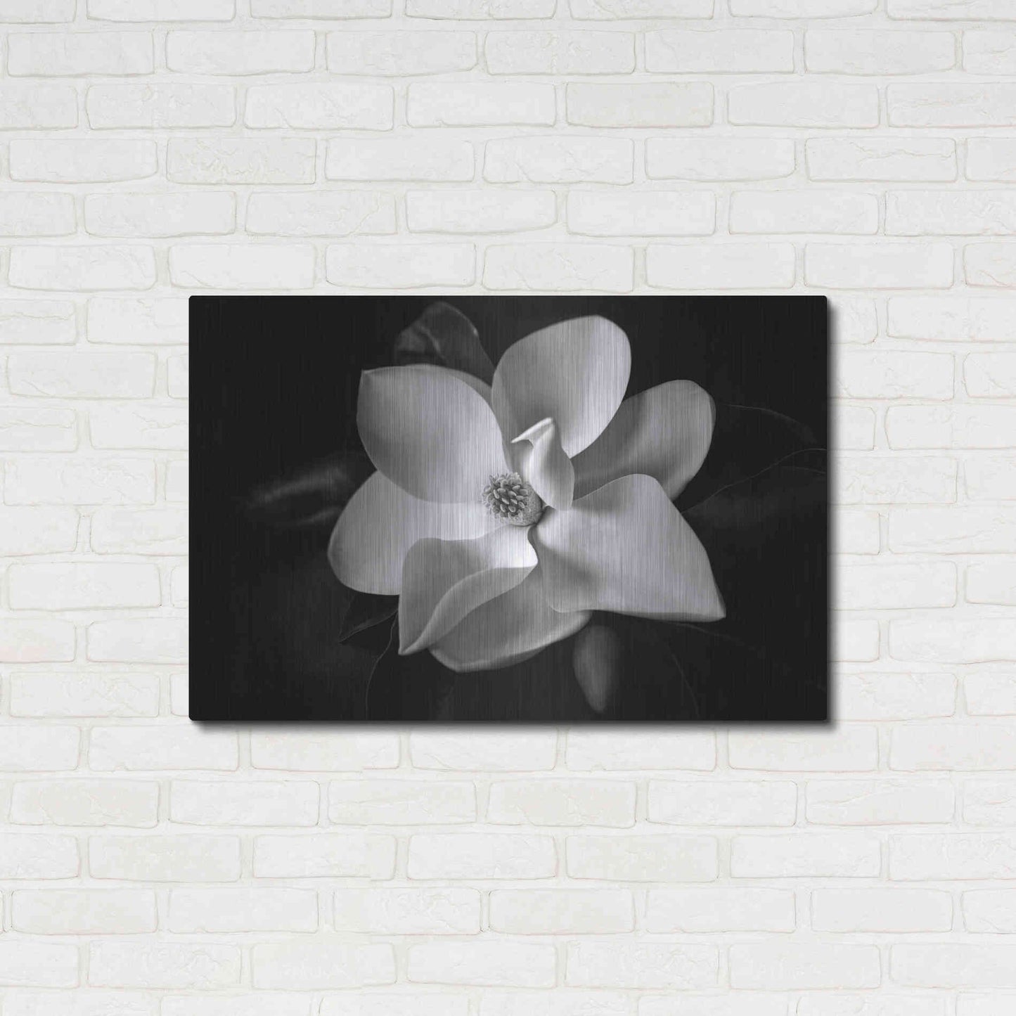 Luxe Metal Art 'SID14511_Magnolia' by Debra Van Swearingen, Metal Wall Art,36x24