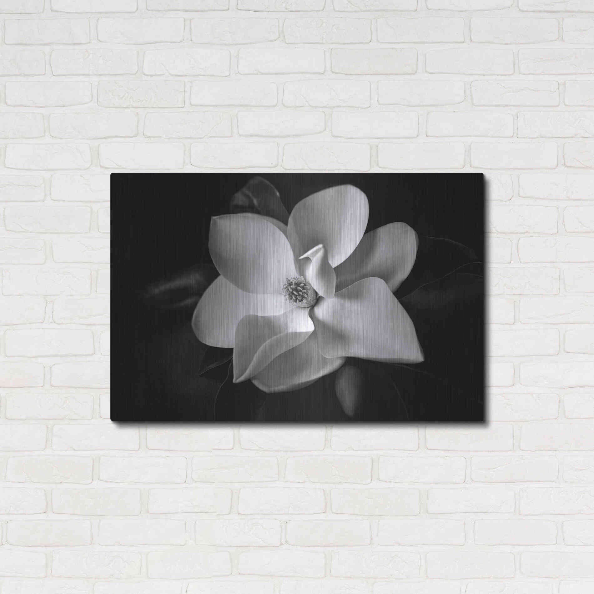 Luxe Metal Art 'SID14511_Magnolia' by Debra Van Swearingen, Metal Wall Art,36x24