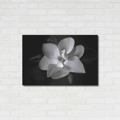 Luxe Metal Art 'SID14511_Magnolia' by Debra Van Swearingen, Metal Wall Art,36x24