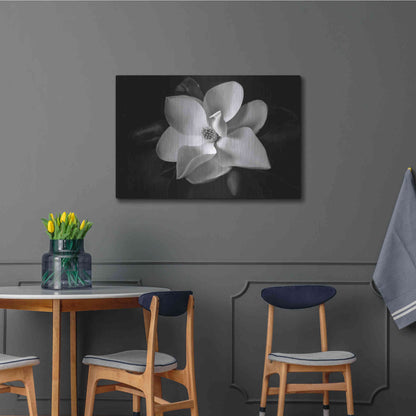 Luxe Metal Art 'SID14511_Magnolia' by Debra Van Swearingen, Metal Wall Art,36x24