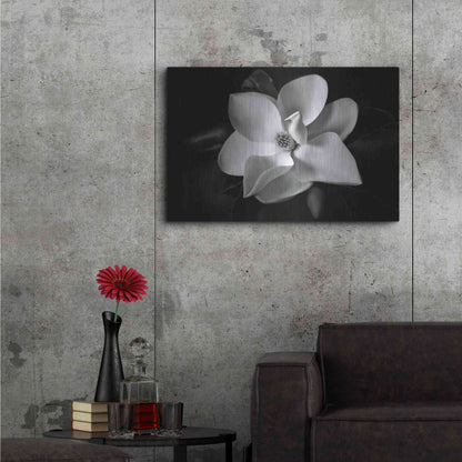 Luxe Metal Art 'SID14511_Magnolia' by Debra Van Swearingen, Metal Wall Art,36x24