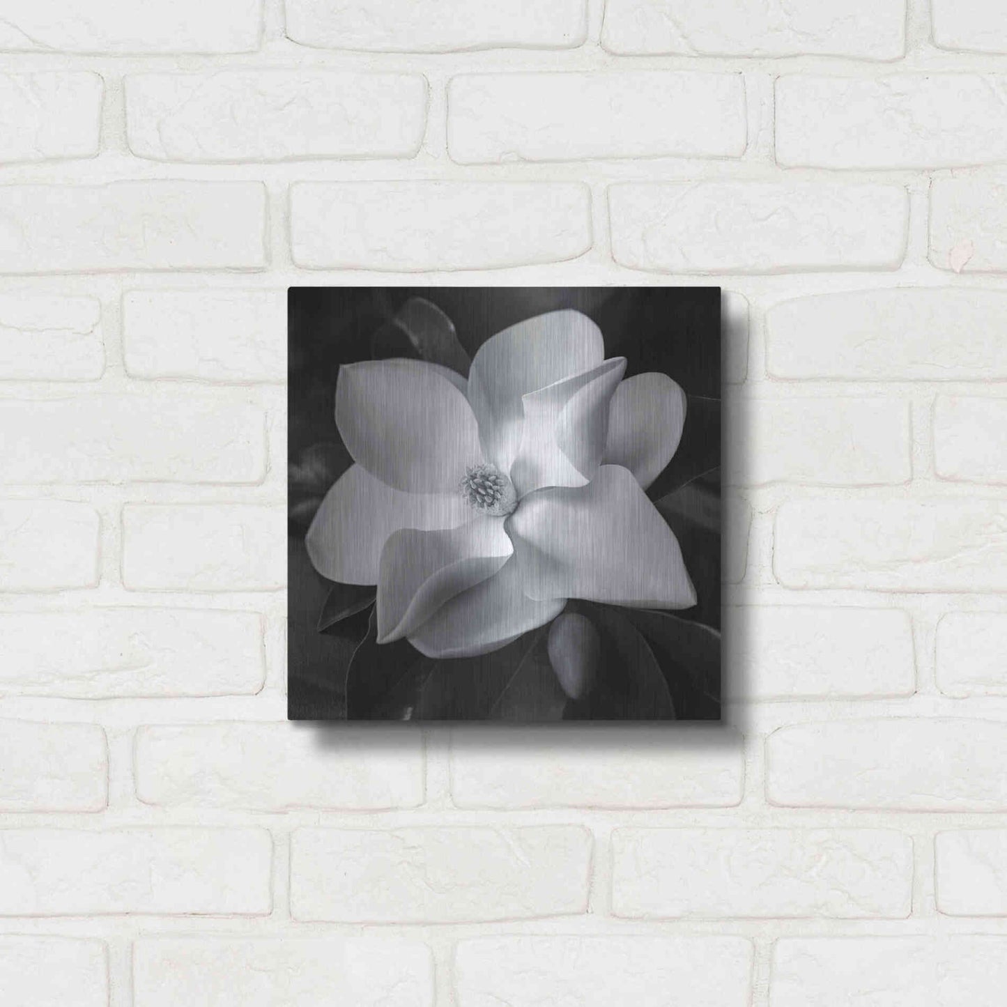 Luxe Metal Art 'Magnolia' by Debra Van Swearingen, Metal Wall Art,12x12