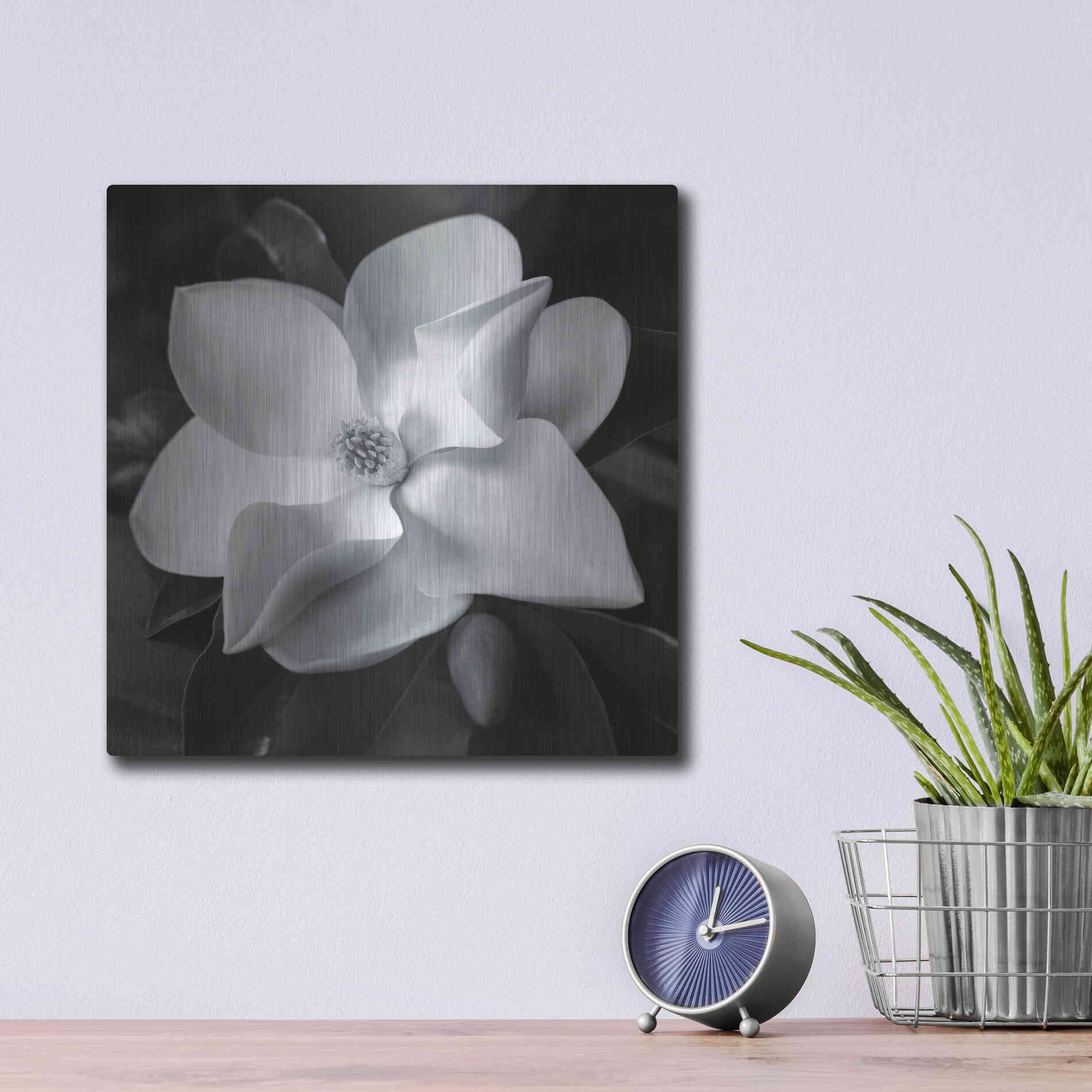 Luxe Metal Art 'Magnolia' by Debra Van Swearingen, Metal Wall Art,12x12