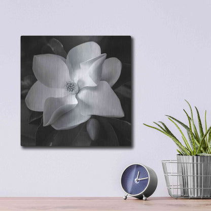 Luxe Metal Art 'Magnolia' by Debra Van Swearingen, Metal Wall Art,12x12