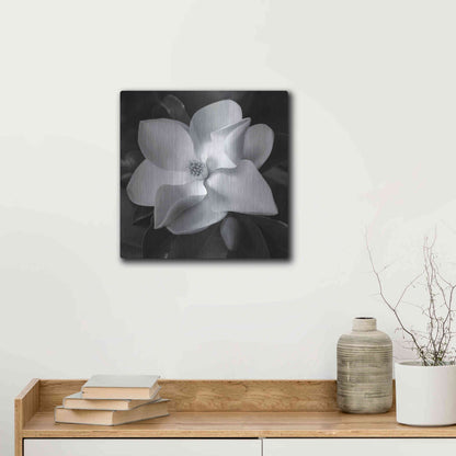 Luxe Metal Art 'Magnolia' by Debra Van Swearingen, Metal Wall Art,12x12