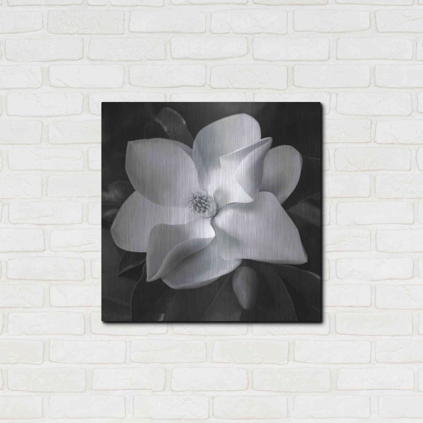 Luxe Metal Art 'Magnolia' by Debra Van Swearingen, Metal Wall Art,24x24