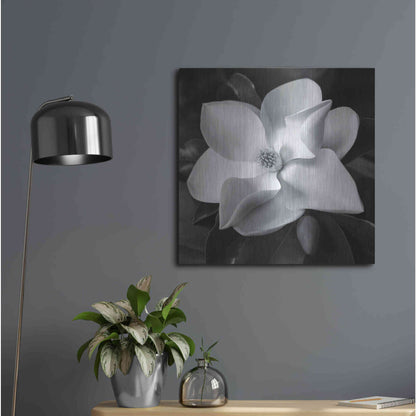 Luxe Metal Art 'Magnolia' by Debra Van Swearingen, Metal Wall Art,24x24