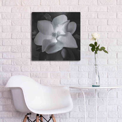 Luxe Metal Art 'Magnolia' by Debra Van Swearingen, Metal Wall Art,24x24