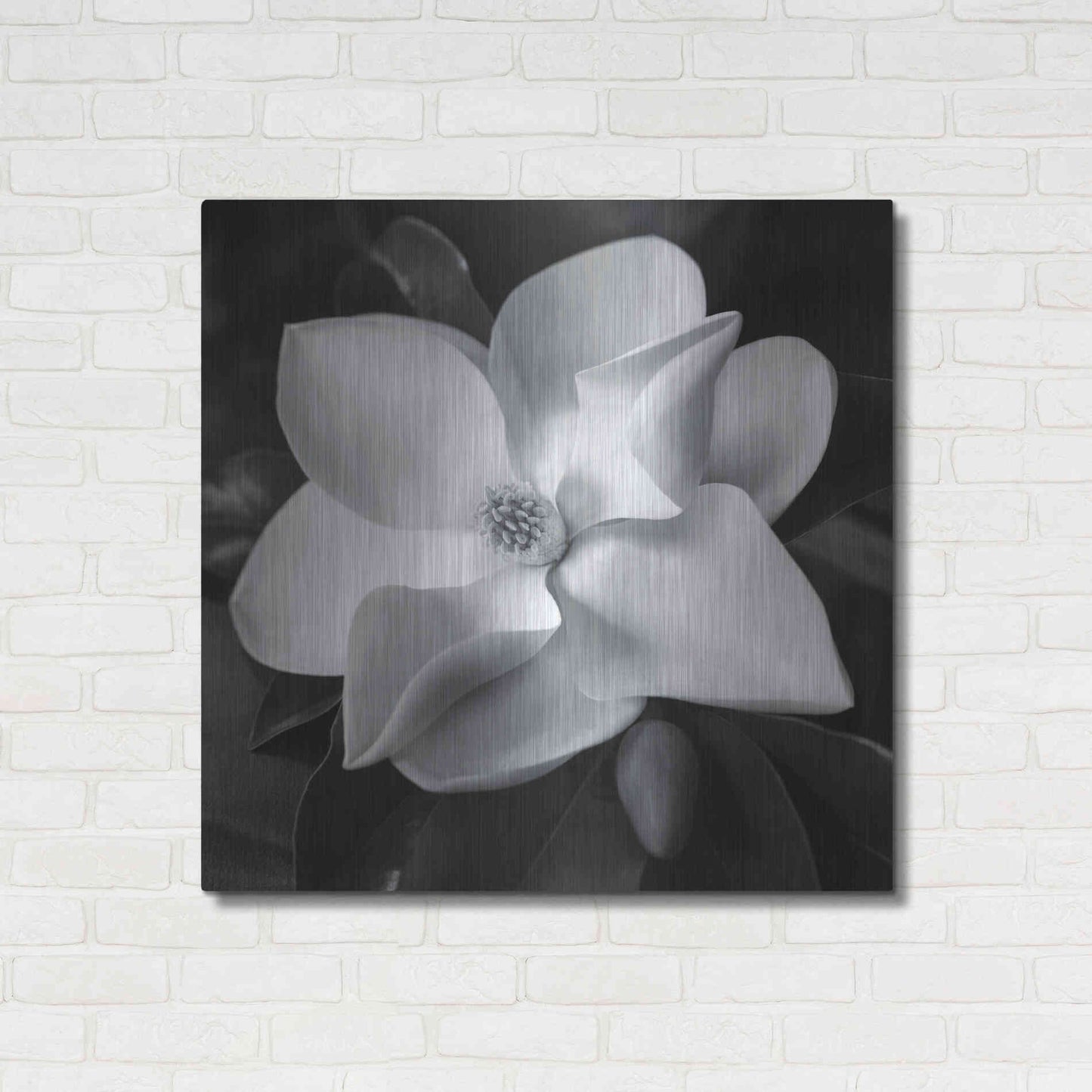 Luxe Metal Art 'Magnolia' by Debra Van Swearingen, Metal Wall Art,36x36