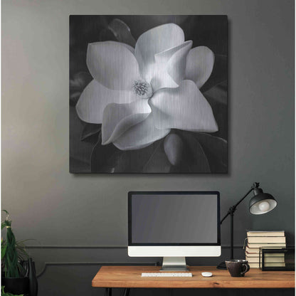 Luxe Metal Art 'Magnolia' by Debra Van Swearingen, Metal Wall Art,36x36