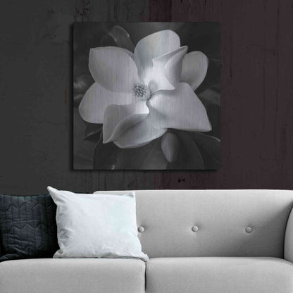 Luxe Metal Art 'Magnolia' by Debra Van Swearingen, Metal Wall Art,36x36