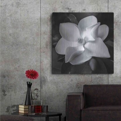 Luxe Metal Art 'Magnolia' by Debra Van Swearingen, Metal Wall Art,36x36