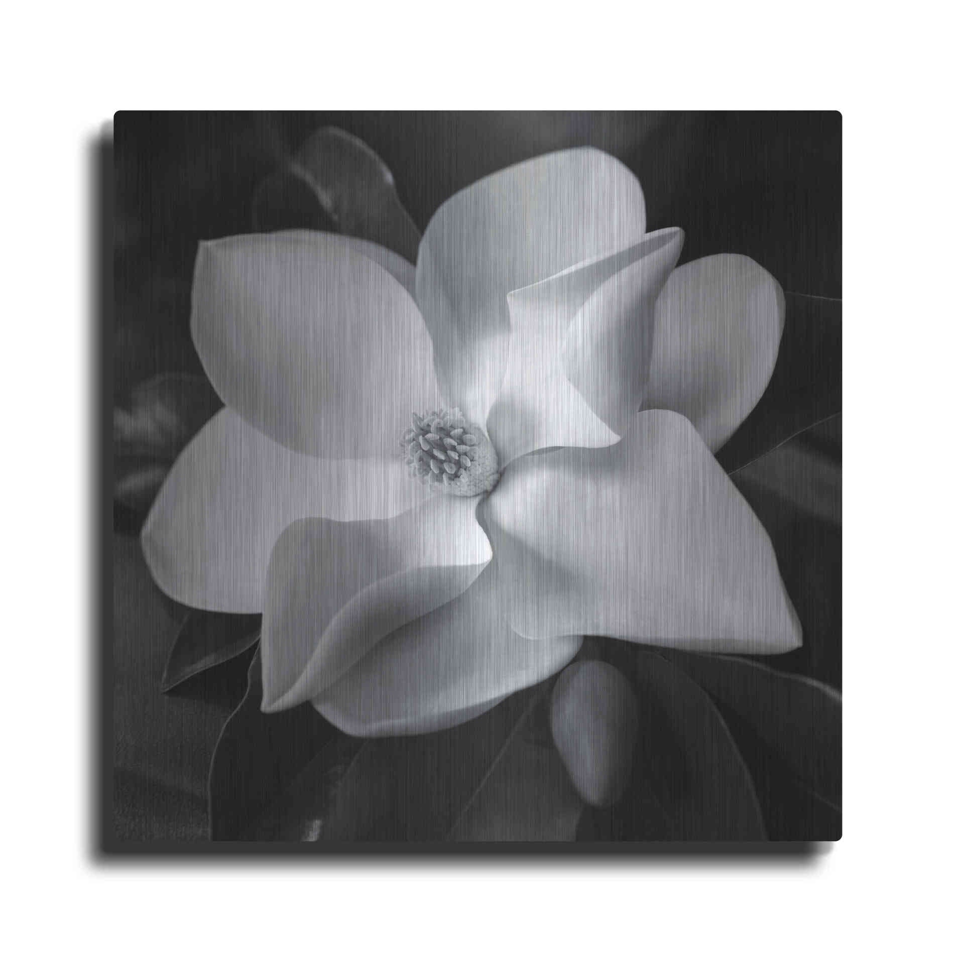 Luxe Metal Art 'Magnolia' by Debra Van Swearingen, Metal Wall Art