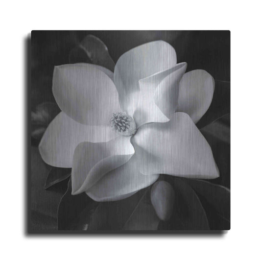 Luxe Metal Art 'Magnolia' by Debra Van Swearingen, Metal Wall Art