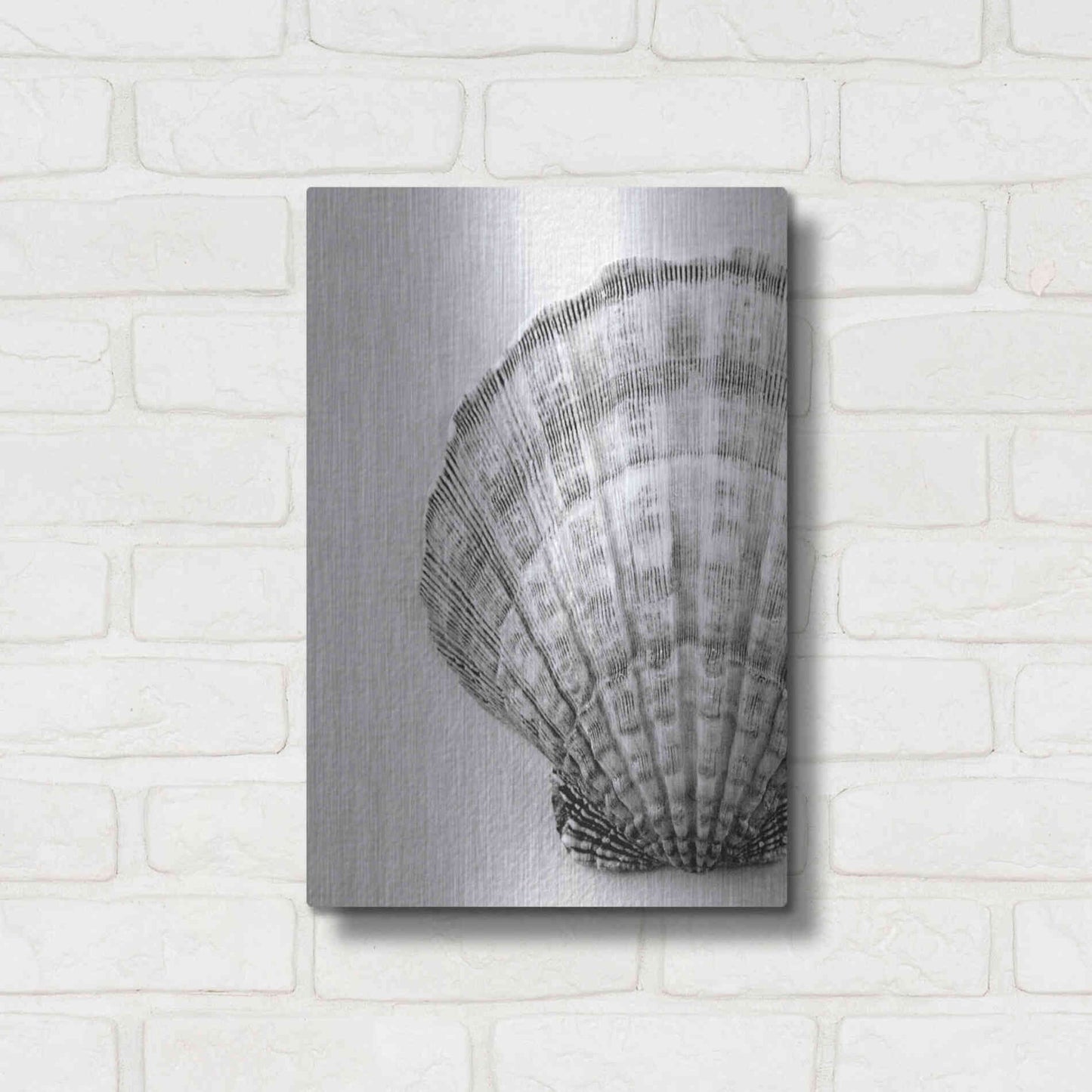 Luxe Metal Art 'On The Half Shell' by Debra Van Swearingen, Metal Wall Art,12x16