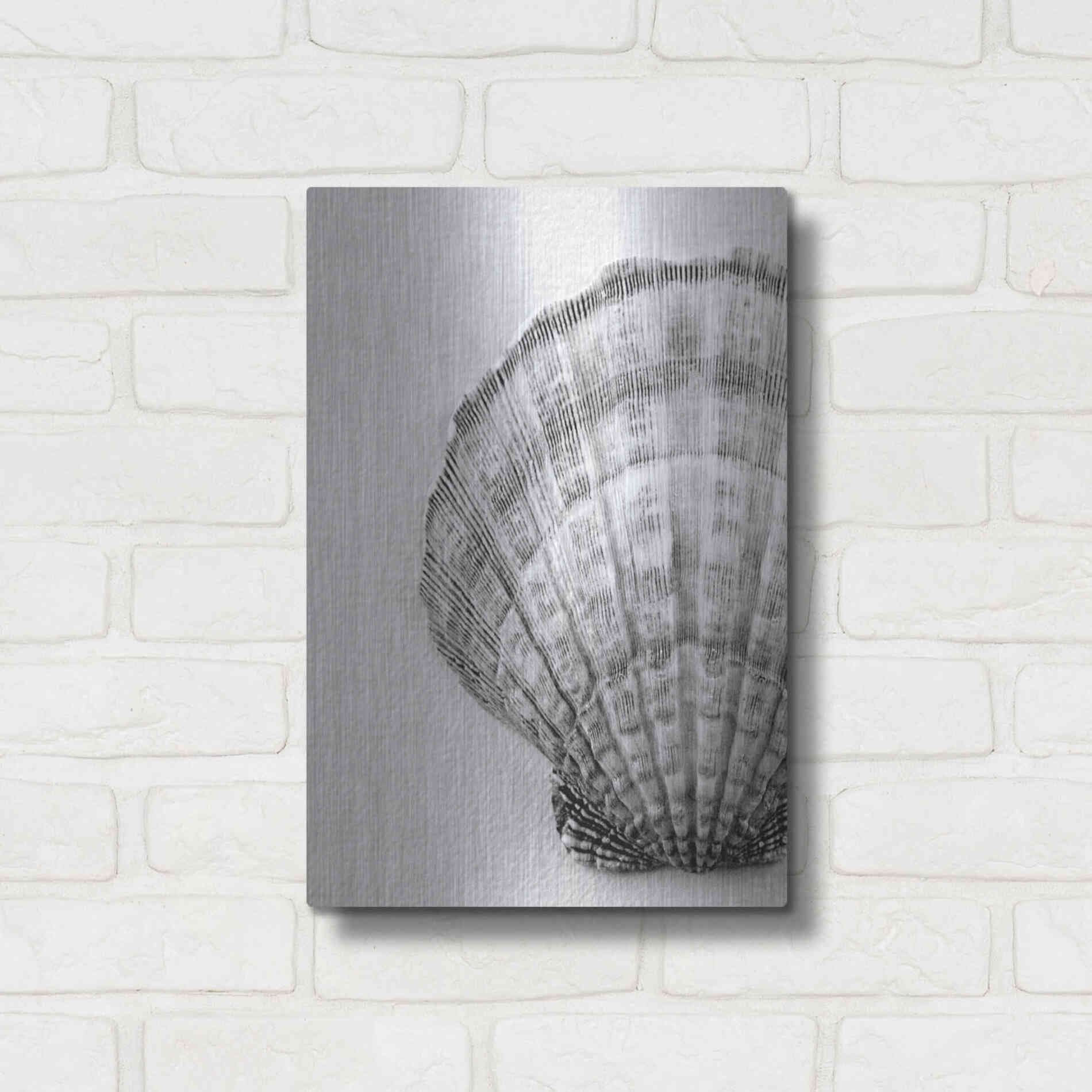 Luxe Metal Art 'On The Half Shell' by Debra Van Swearingen, Metal Wall Art,12x16