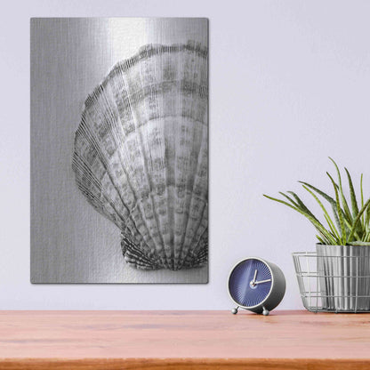 Luxe Metal Art 'On The Half Shell' by Debra Van Swearingen, Metal Wall Art,12x16