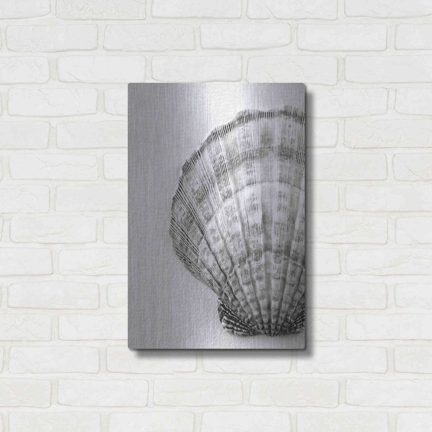 Luxe Metal Art 'On The Half Shell' by Debra Van Swearingen, Metal Wall Art,16x24