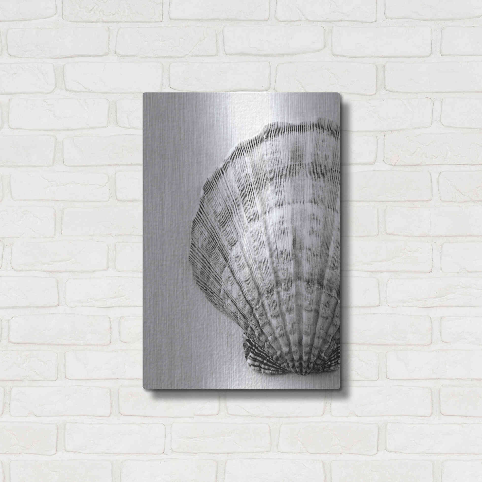 Luxe Metal Art 'On The Half Shell' by Debra Van Swearingen, Metal Wall Art,16x24