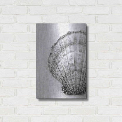 Luxe Metal Art 'On The Half Shell' by Debra Van Swearingen, Metal Wall Art,16x24